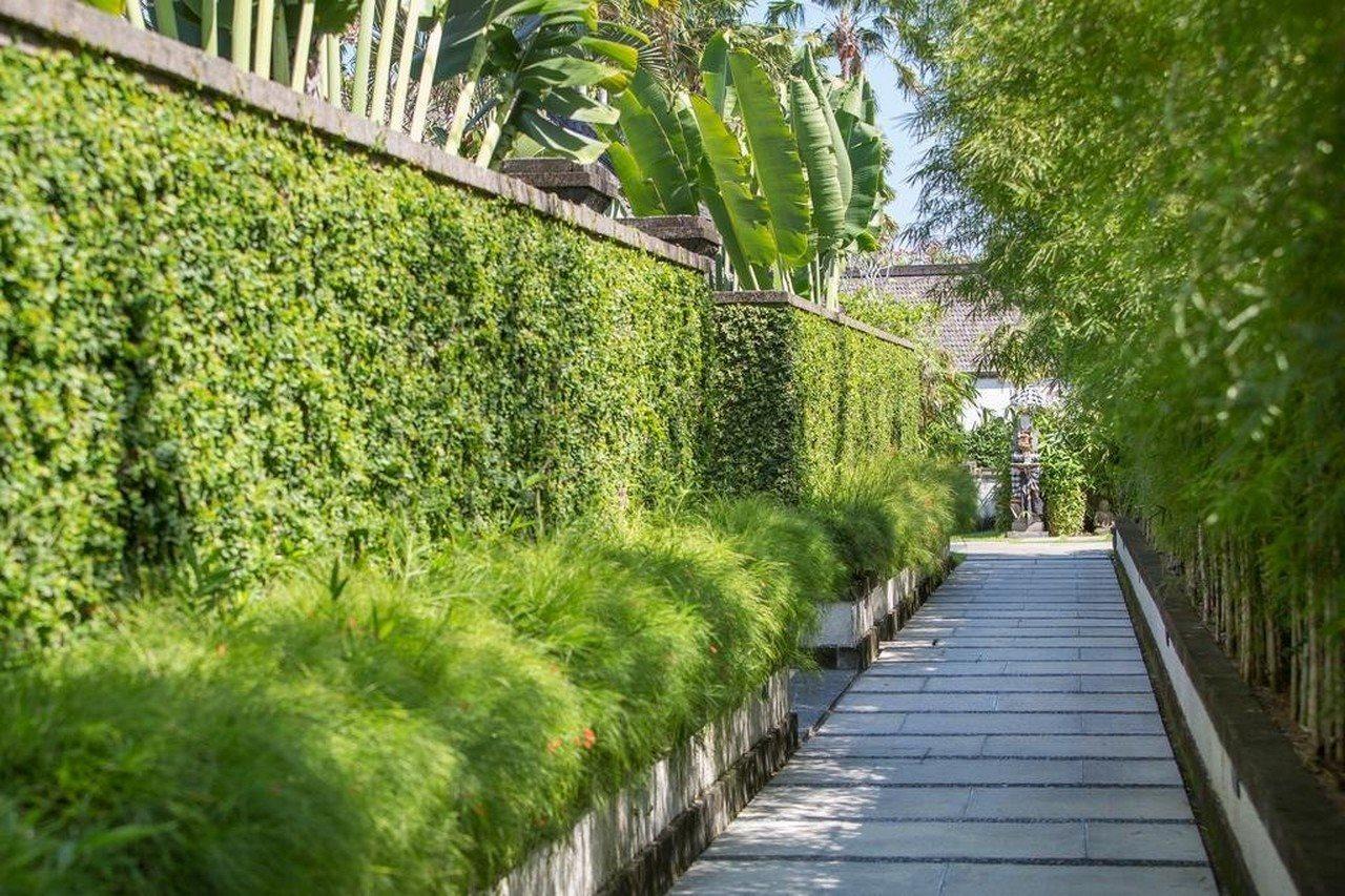 Villa Air Bali Boutique Resort And Spa Petitenget  Exteriör bild